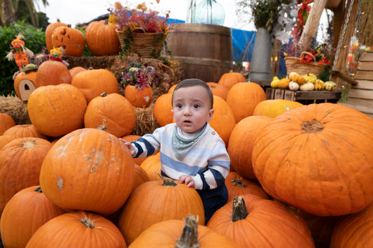 Entrada Sábado por la Mañana 25/10/25 (9:00‑11:00)