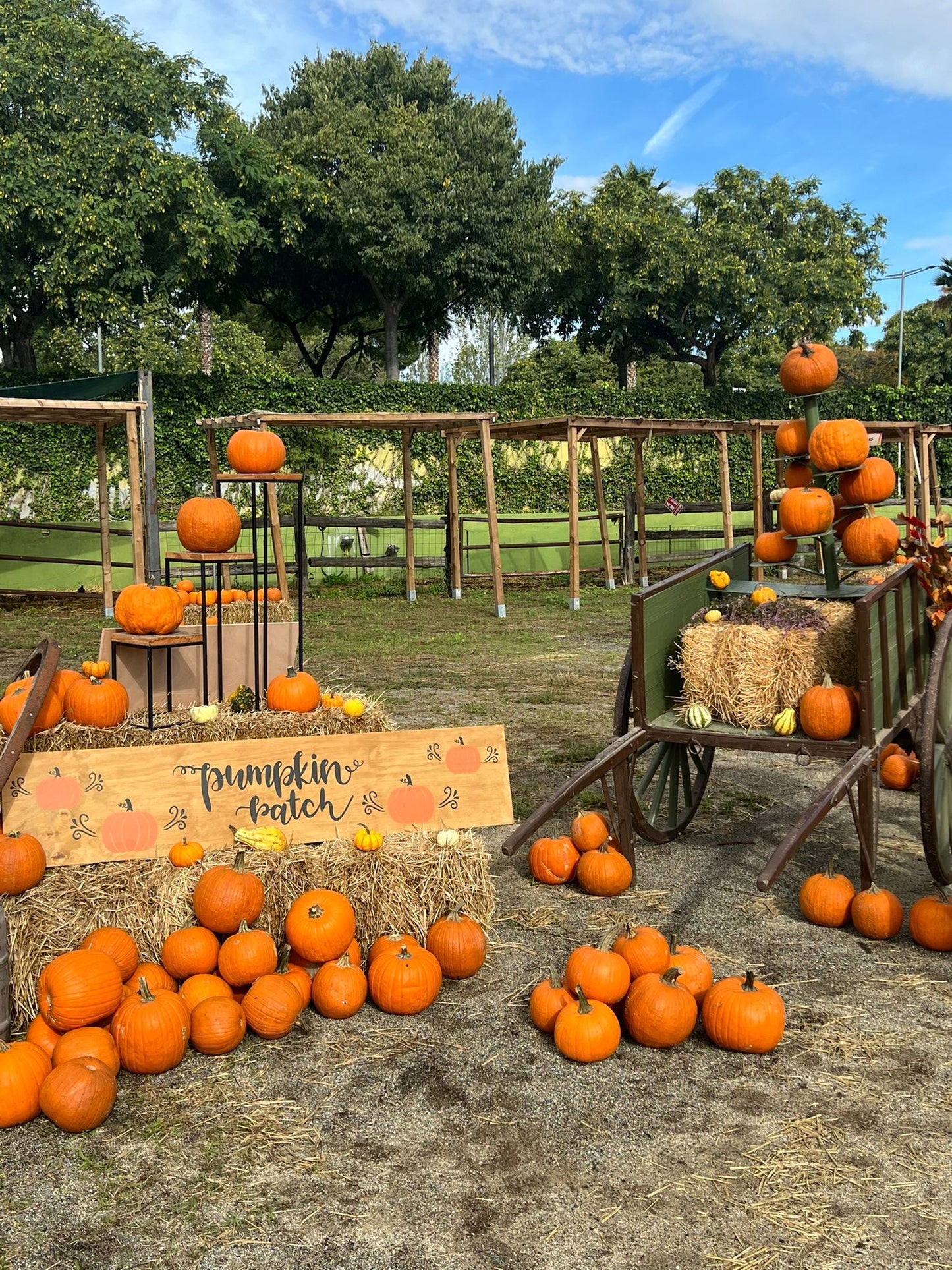 Entrada Sábado Tarde: 25/10/25 (11:00‑16:00)